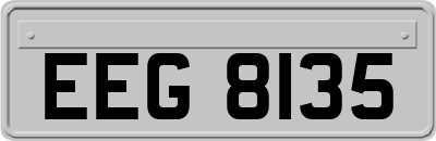 EEG8135