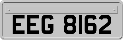 EEG8162