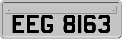 EEG8163