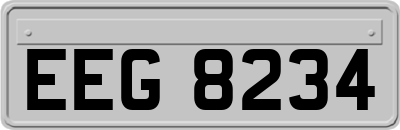 EEG8234