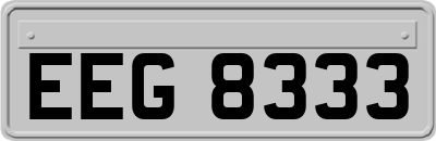 EEG8333