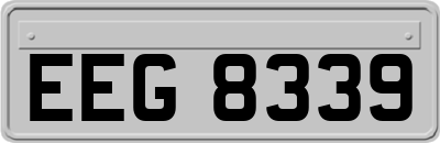 EEG8339