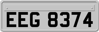 EEG8374