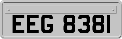 EEG8381