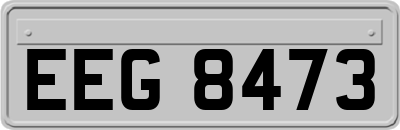 EEG8473