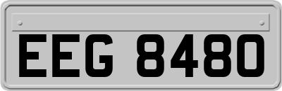 EEG8480