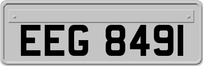 EEG8491