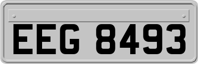 EEG8493