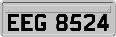 EEG8524