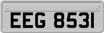 EEG8531
