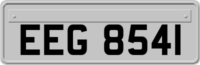 EEG8541