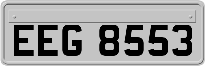 EEG8553
