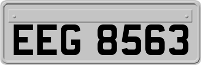EEG8563