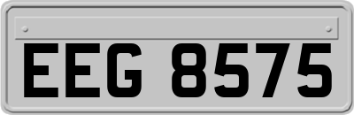EEG8575