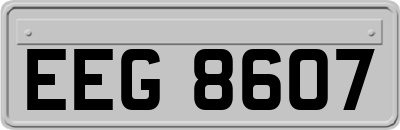 EEG8607
