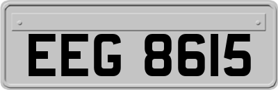 EEG8615