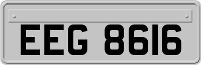 EEG8616