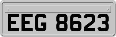 EEG8623