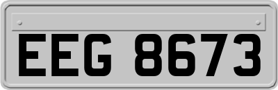 EEG8673