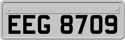 EEG8709