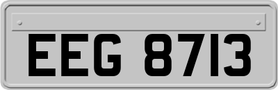 EEG8713