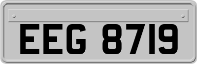 EEG8719