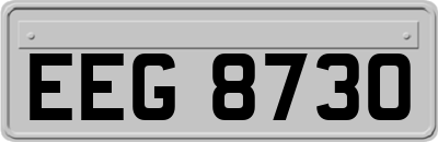 EEG8730
