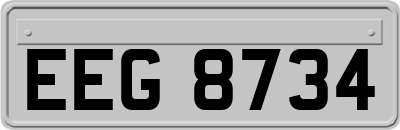 EEG8734