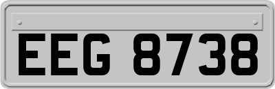 EEG8738