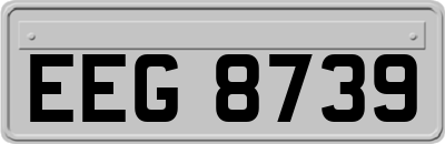 EEG8739