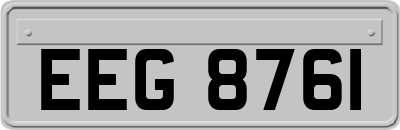 EEG8761