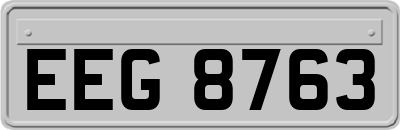 EEG8763