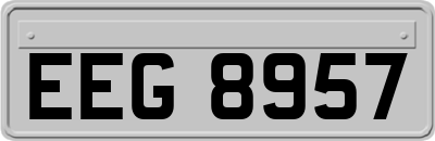 EEG8957