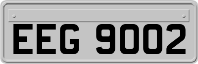 EEG9002