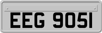EEG9051