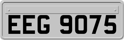 EEG9075