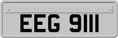 EEG9111