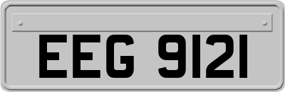 EEG9121