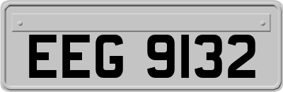 EEG9132