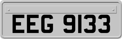 EEG9133