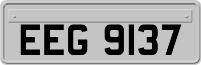EEG9137