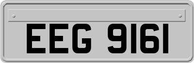 EEG9161