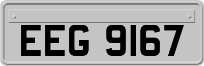 EEG9167
