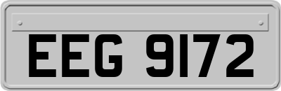EEG9172