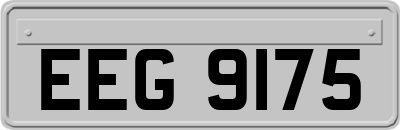 EEG9175