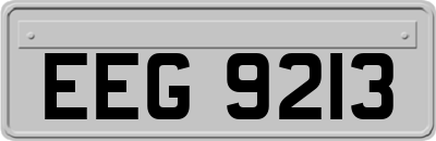 EEG9213