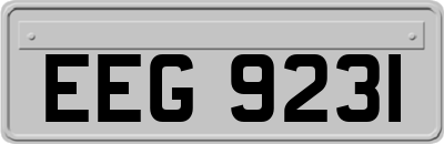 EEG9231
