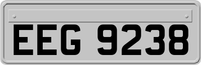 EEG9238
