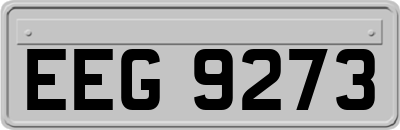 EEG9273