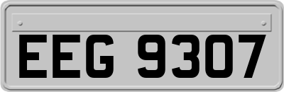 EEG9307